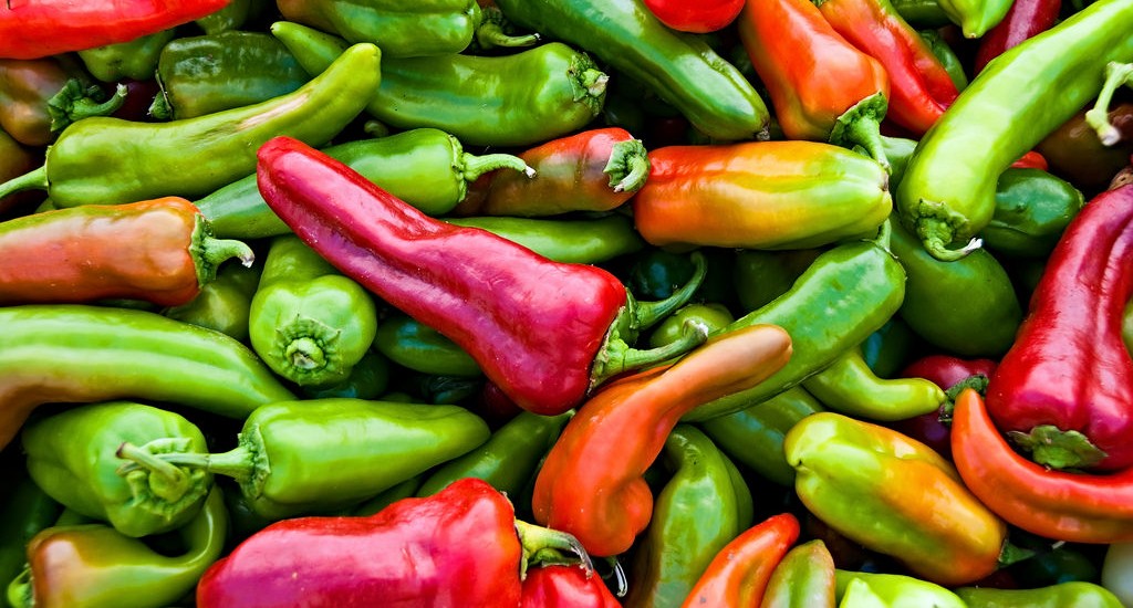 Guide to San Francisco Farmers Markets