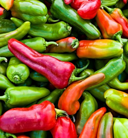 Guide to San Francisco Farmers Markets