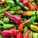 Guide to San Francisco Farmers Markets